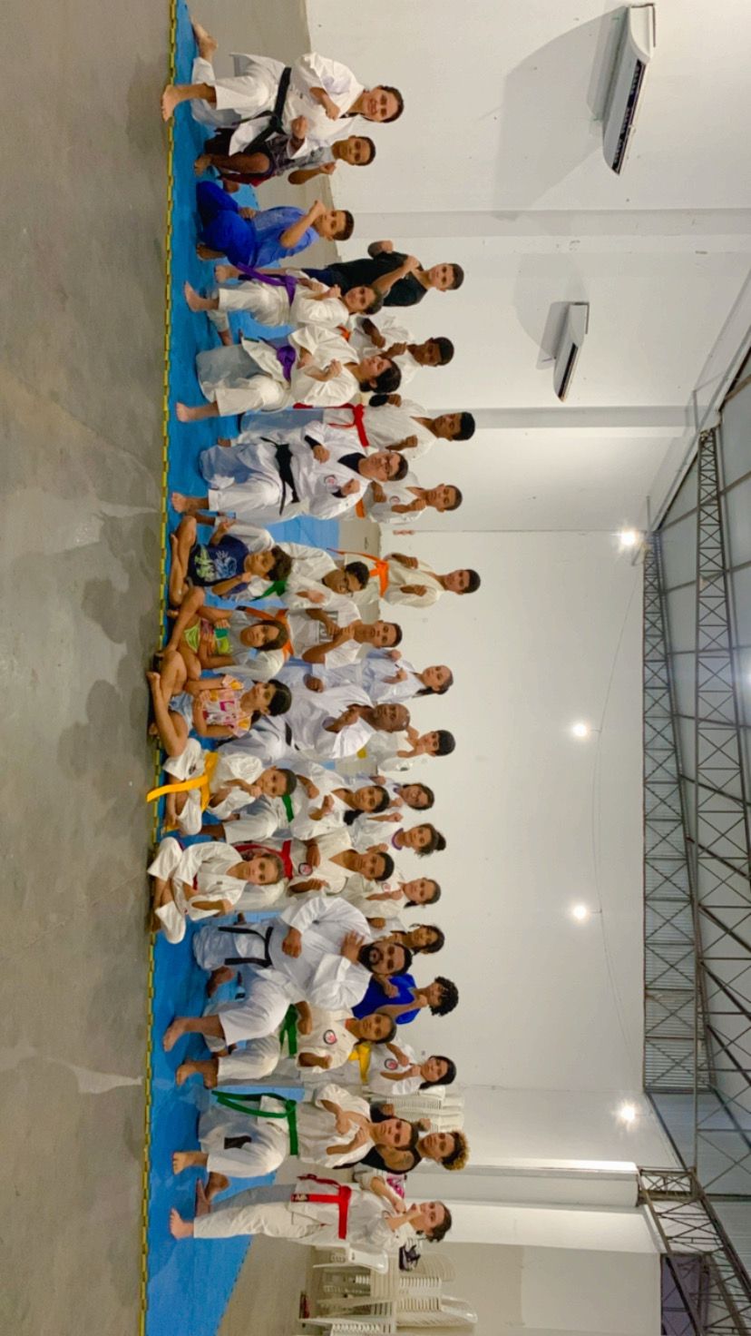 Turma completa do Rotary Club em pose de karatê